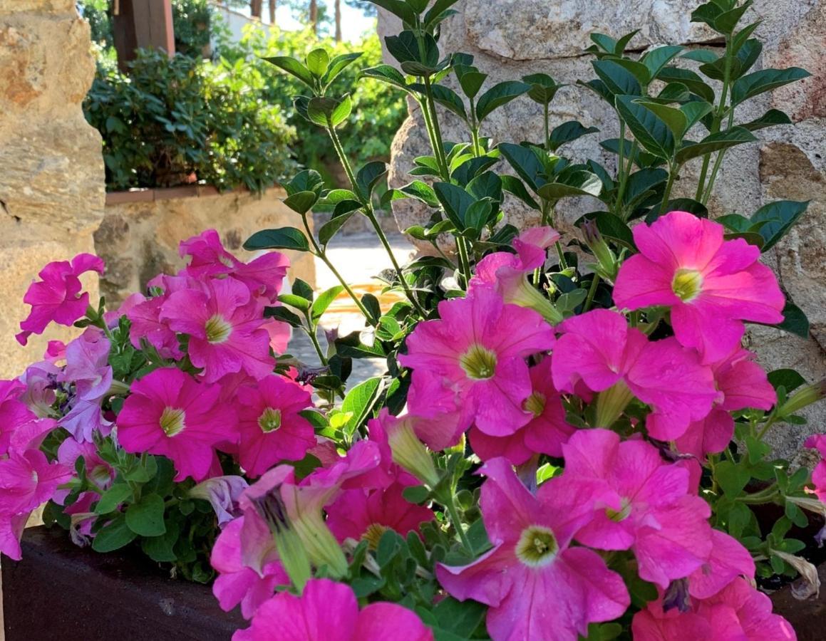 La Casita De Las Hortensias Ortigosa del Monte Bagian luar foto