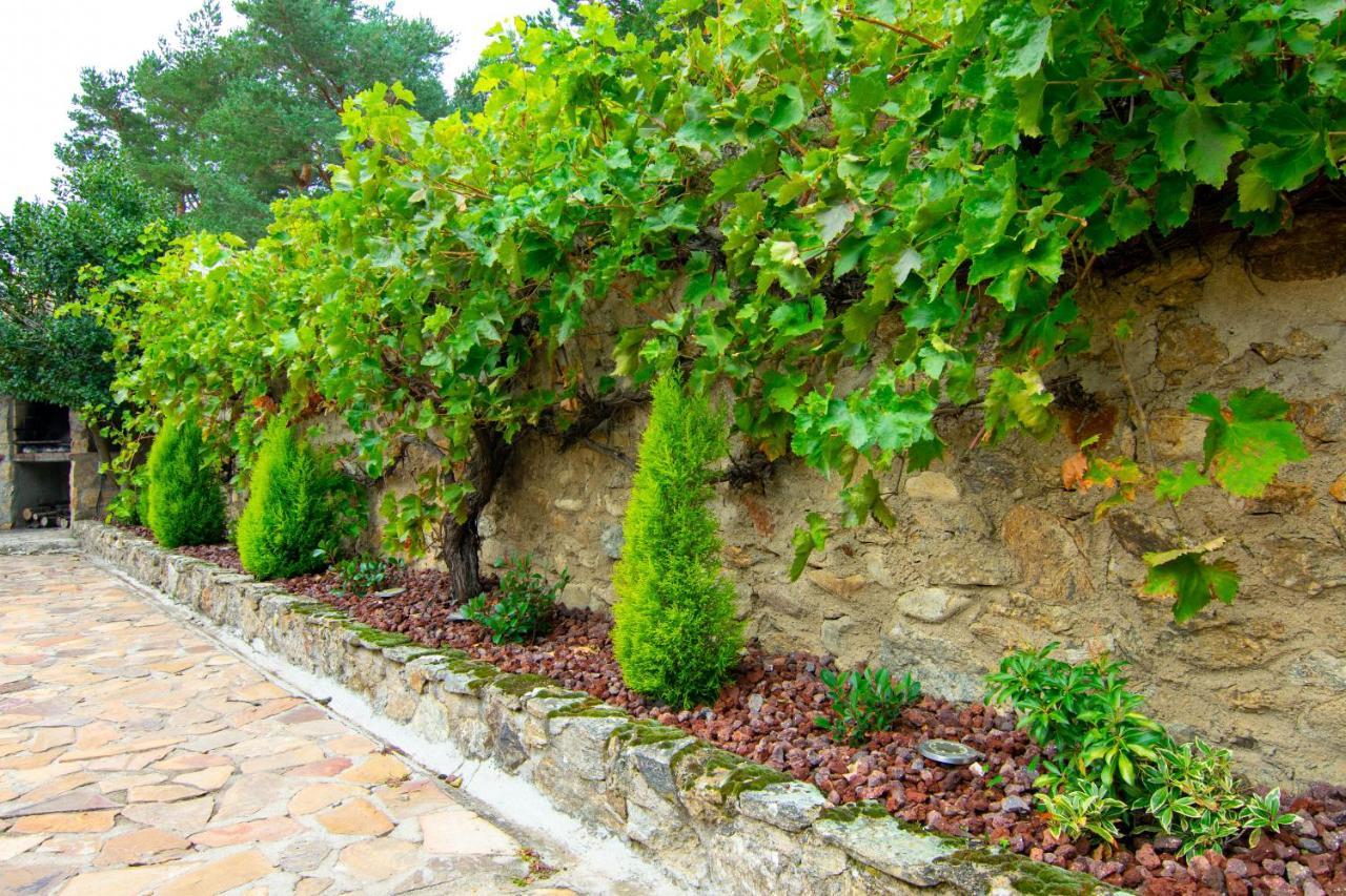 La Casita De Las Hortensias Ortigosa del Monte Bagian luar foto